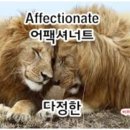 아너스트 (Honest) 이미지