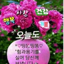 성주군노인회관 | 아버지! 죄송합니다.