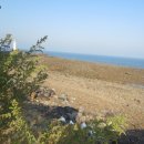 마검포항 이미지