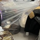 신 김우동 | 2월 -2