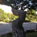 천안연암대학 이미지