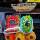 총각네강남 이미지