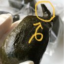 홍블랑푸드 :: 백미 동부 쑥떡, 백미 단호박 설기 내돈내산 리뷰