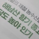 땅끝부추 이미지