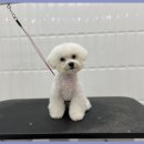 이쁘개몽 이미지