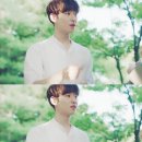 천해 이미지