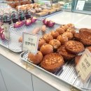 애견시대 | 명장시대 카페솔직 방문 후기 애견동반 or 프리다이빙.스쿠버다이빙 무료로 배우세요!