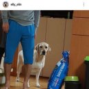 개스타그램 이미지