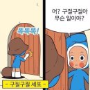 그라운즈 오브 더 시티 브런치, 본다이 비치(Bondi Beach), 풀만 하이드파크 후기, 달링하버 불꽃놀이 꿀팁