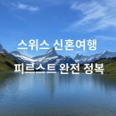 [스위스 신혼여행] 그린델발트 피르스트 곤돌라, 클리프워크, 바흐알프제 호수, 액티비티(글라이더) 후기