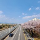한정신과의원 앞 | 부산광역시 일요일 문 여는 정신과 진료 시간 조회 방법 안내