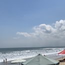 호텔 더 디종 | [발리여행16]꾸따 브런치카페 디종(DIJON), 예약없이 꾸따비치에서 서핑한 후기