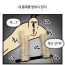 서프살롱