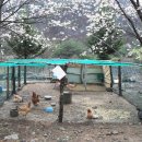 소뜰민박 이미지