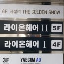 라이온헤어 4F