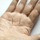 제물포한의원 이미지