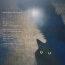 캣츠앤 | 반려견(묘) 동반 가능 전시회 캣츠앤독스 후기