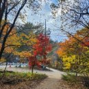 라탄스튜디오히히하하 이미지