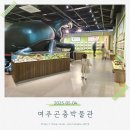 여주박물관화장실 | 여주 아이랑 갈만한곳 여주곤충박물관 장수풍뎅이배틀 주말후기