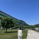 네발친구 이미지