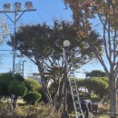 양남면행정복지센터 이미지