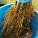 우림농원 이미지