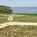 그래도 꽃 이미지