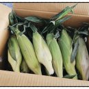 신신상회 이미지