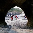 코끼리민박 이미지