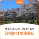 갈산리마을회관 | 당진 봄나들이 추천! 벚꽃과 개나리가 아름다운 당진순성 벚꽃축제