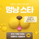 멍냥스타 - 3105 | 멍냥스타