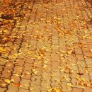 금파초교 이미지