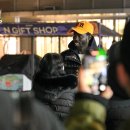 파코