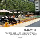 패밀리&푸드 일강구내식당 | 태국 방콕 카오산로드 가성비 숙소 티니디트렌디 호텔