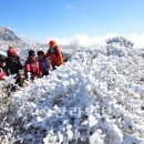 은빛세상 이미지