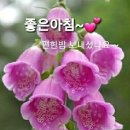 행복한하루 이미지