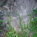 박달재휴양림 이미지