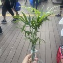 반여4동-4 이미지