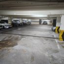 비타동물의료센터 이미지