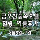 [클릭하세요] 힐링 여름휴가! 금오산 숲속호텔 시원한 계곡·폭포 비경 이미지