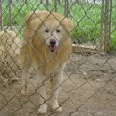 원종농장 이미지