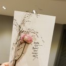 딥펜 캘리그라피 이미지