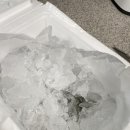 수빈이네 펜션 | 10월 일기