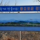 신봉삼거리 티스토리