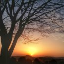 항도횟집 이미지