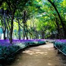 태화강 철새공원 이미지