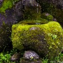 상면농장 이미지