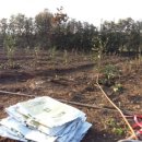 영희농장2 이미지