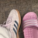 오늘 하루 운동 체력단련실 이미지