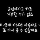 인연 이미지